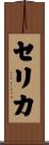 Celica Scroll