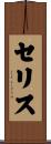 Celis Scroll
