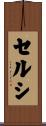 Celsi Scroll