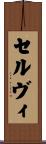 Selvi Scroll