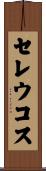 セレウコス Scroll