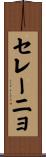 セレーニョ Scroll