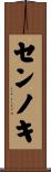センノキ Scroll