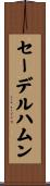 セーデルハムン Scroll