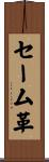 セーム革 Scroll