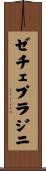 ゼチェ・プラジニ Scroll