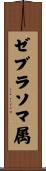 ゼブラソマ属 Scroll