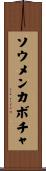ソウメンカボチャ Scroll