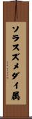 ソラスズメダイ属 Scroll