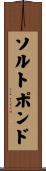 ソルトポンド Scroll