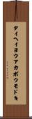 タイヘイヨウアカボウモドキ Scroll