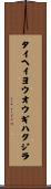 タイヘイヨウオウギハクジラ Scroll