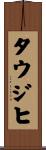 タウジヒ Scroll