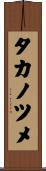 タカノツメ Scroll