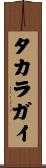 タカラガイ Scroll