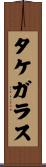 タケガラス Scroll