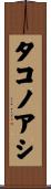 タコノアシ Scroll