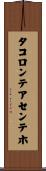 タコロンテアセンテホ Scroll