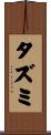 タズミ Scroll