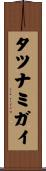 タツナミガイ Scroll