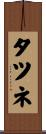 タツネ Scroll