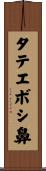 タテエボシ鼻 Scroll