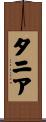 タニア Scroll