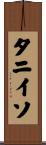 タニイソ Scroll