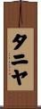タニヤ Scroll