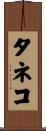タネコ Scroll