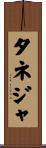 タネジャ Scroll