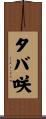 タバ咲 Scroll