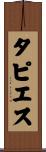 タピエス Scroll
