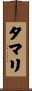 タマリ Scroll