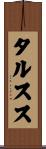 タルスス Scroll