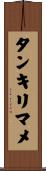 タンキリマメ Scroll