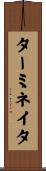 ターミネイタ Scroll