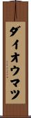 ダイオウマツ Scroll