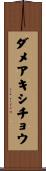 ダメアキシチョウ Scroll