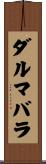ダルマバラ Scroll