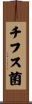チフス菌 Scroll