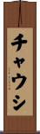 チャウシ Scroll
