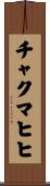 チャクマヒヒ Scroll
