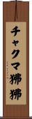 チャクマ狒狒 Scroll