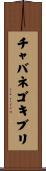チャバネゴキブリ Scroll