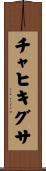 チャヒキグサ Scroll