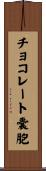 チョコレート嚢胞 Scroll