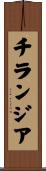 チランジア Scroll
