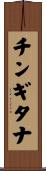 チンギタナ Scroll