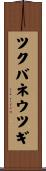 ツクバネウツギ Scroll